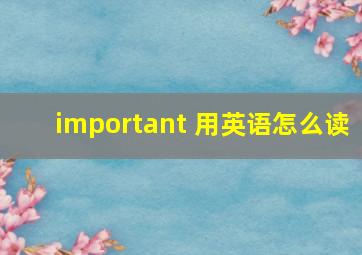 important 用英语怎么读